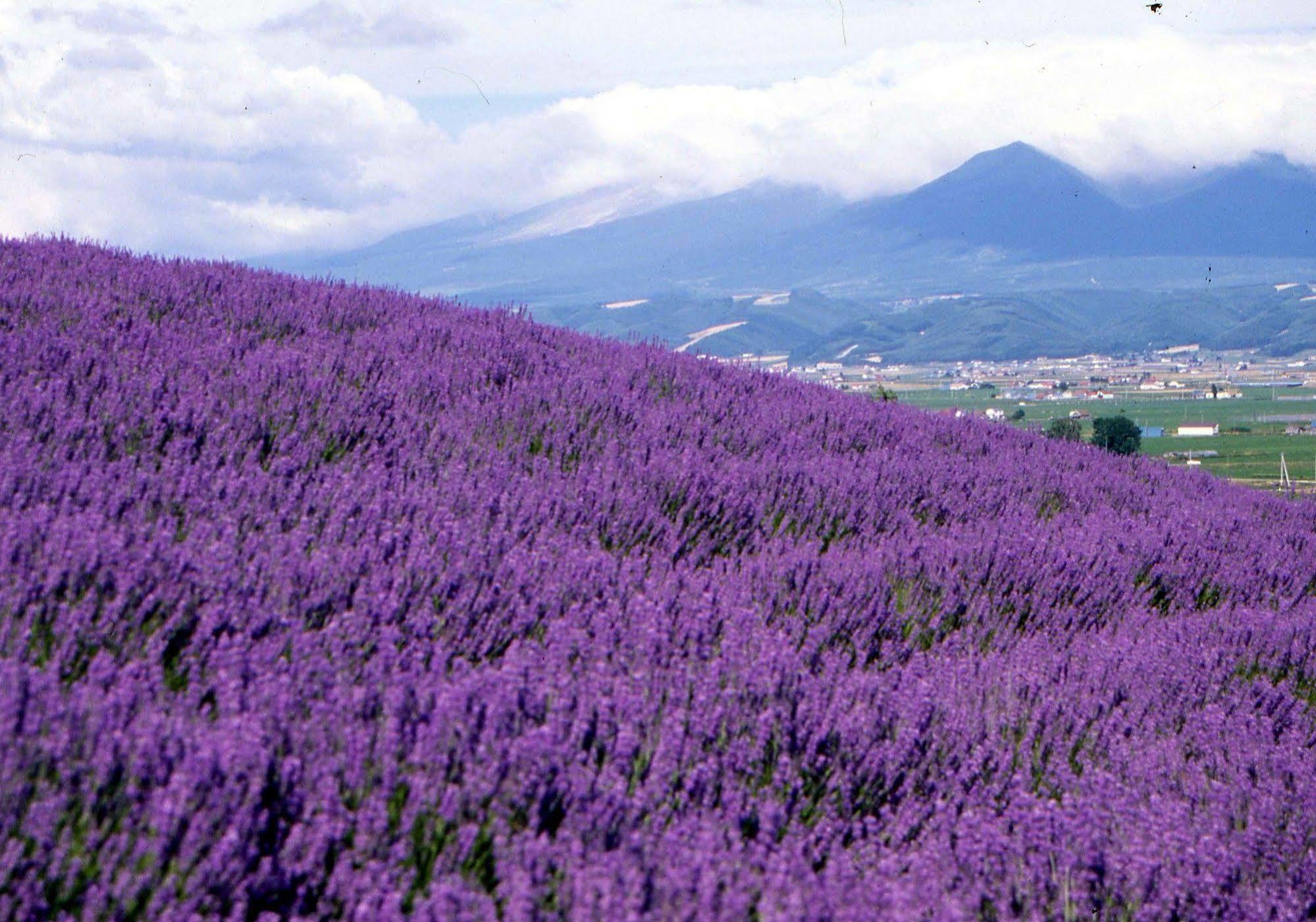 Pension Lavender NakaNakafurano Kültér fotó